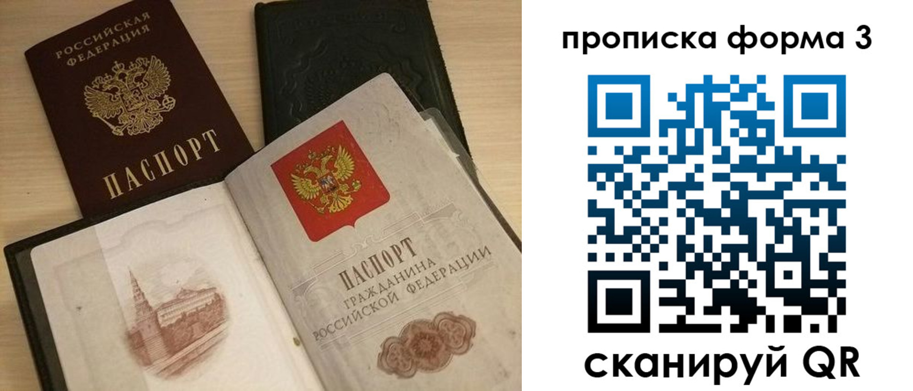 прописка для школы в Елизово